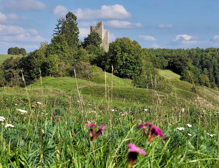 Burgruine Bechthal, Germany